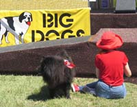 acIMG_7002