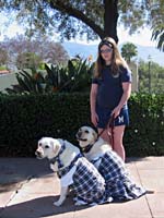 aiIMG_6883
