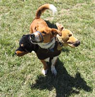 bqIMG_7034