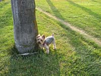 acIMG_6221
