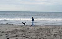 atIMG_5973
