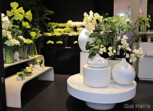 cl_Flower Shop_2683
