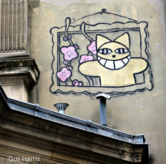 at----Painting Cat Wall--_4404