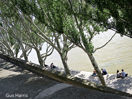 av--Trees People River Seine--_4512