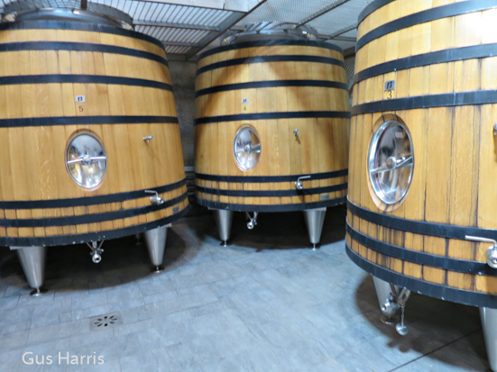 bv--Wine Barrels--_4954