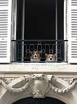 cu_TwoDoggiesWindow_9818