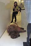 dg_BigDogAsleepFloor_9670