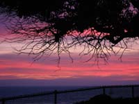 bs Sunset Through the Trees_7967