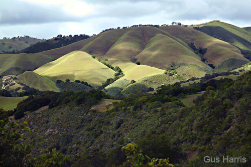 aq--Mountains Carmel Valley--DC1T0116 (2)
