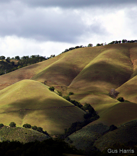 as--Beautiful Hills Carmel ValleyDC1T0107 