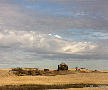 ab Little House on the Prairie_3652 w