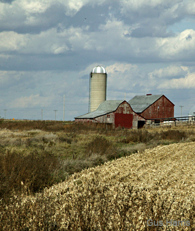 af Barn Silo Cornfield 0305