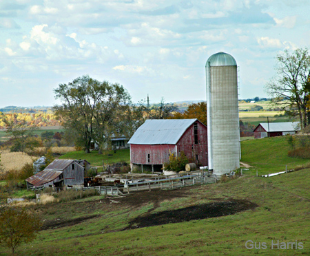 ai Country Farm--DC1T9923