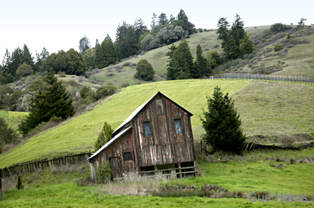 an Country Hut--DC1T4749