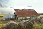 aj Barn Hay Bales DC1T0396