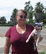 brLaughingChihuahua_6690