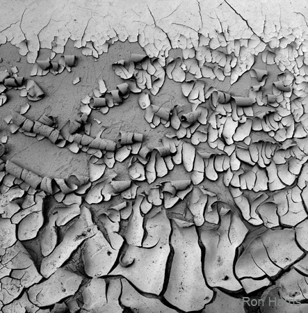 AECrackGoblivValleyMudCracks1992