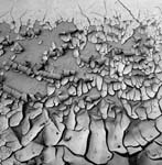 AECrackGoblivValleyMudCracks1992