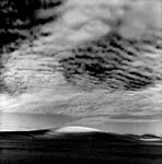 ARVBruneauDunes1996
