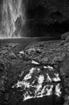 AA Oregon Water Fall Three 2003