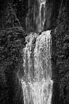 AB Oregon Wate rFal lTwo 2003