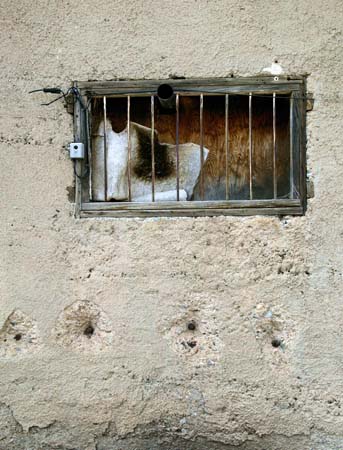 xwallbarredwindowDC1T1176