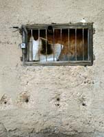 xwallbarredwindowDC1T1176