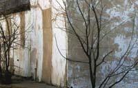 xwhitepatchestreeshouseDC1T1268