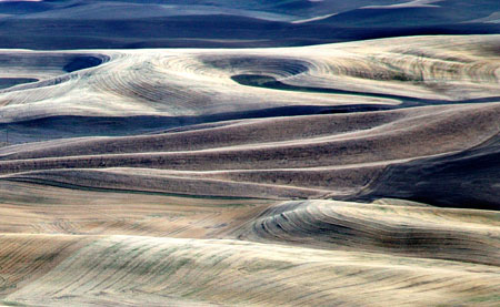 AFxcroppedwheatfieldWheatFieldKimiacDC1T6777Lighter