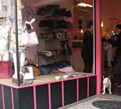 ah-Two Dogs Shop Window_4884